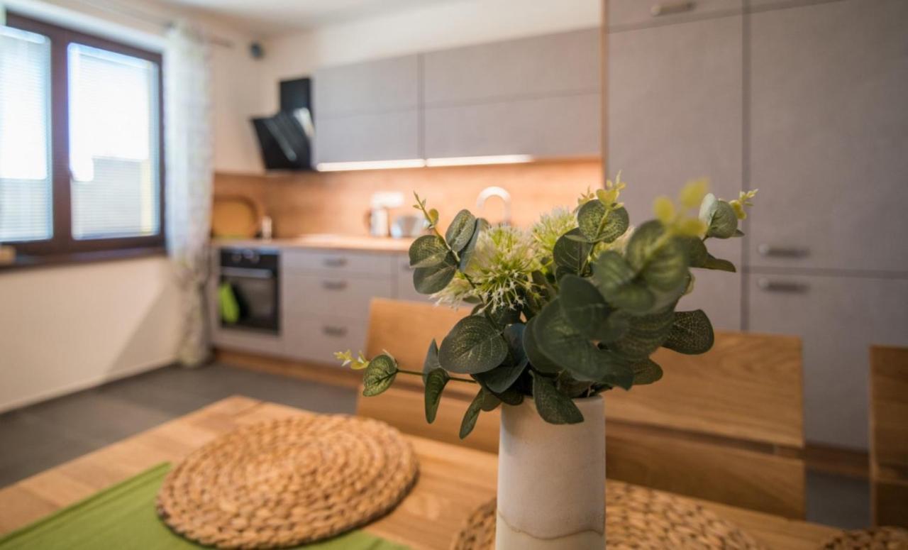 Astra Lipno Apartamento Frymburk Exterior foto